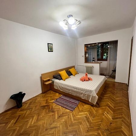 Miha Modern And Central Apartament Malul Muresului Arad Dış mekan fotoğraf