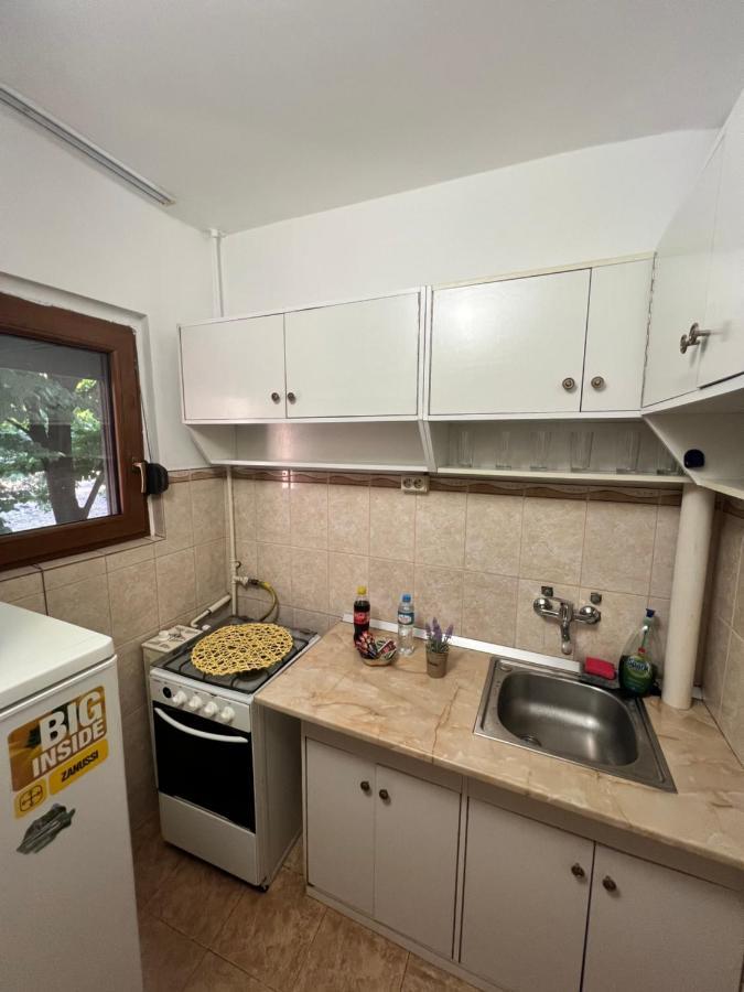 Miha Modern And Central Apartament Malul Muresului Arad Dış mekan fotoğraf
