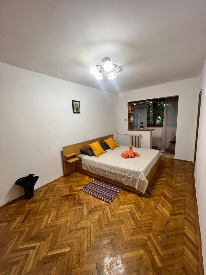 Miha Modern And Central Apartament Malul Muresului Arad Dış mekan fotoğraf