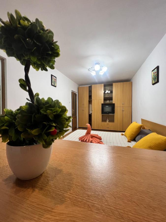 Miha Modern And Central Apartament Malul Muresului Arad Dış mekan fotoğraf
