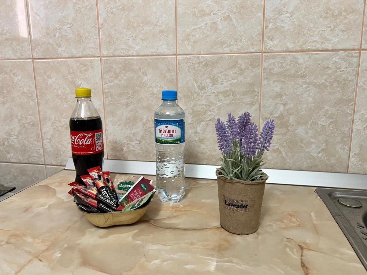 Miha Modern And Central Apartament Malul Muresului Arad Dış mekan fotoğraf