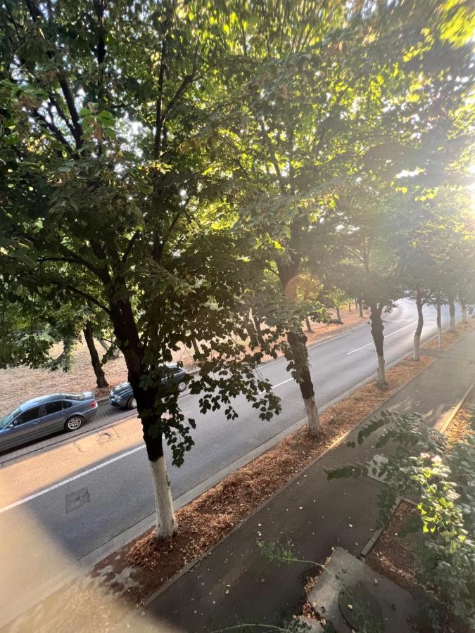Miha Modern And Central Apartament Malul Muresului Arad Dış mekan fotoğraf