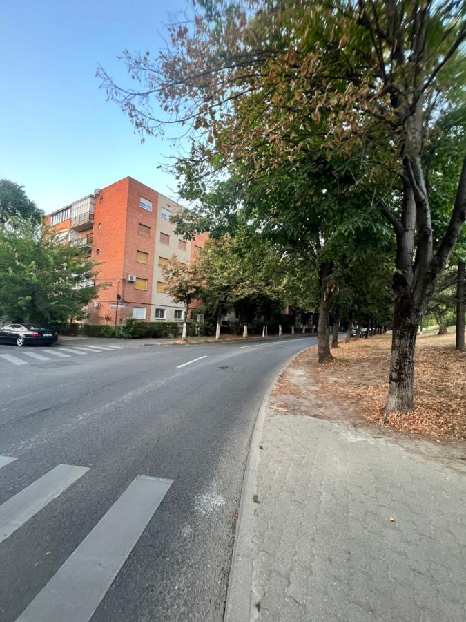 Miha Modern And Central Apartament Malul Muresului Arad Dış mekan fotoğraf
