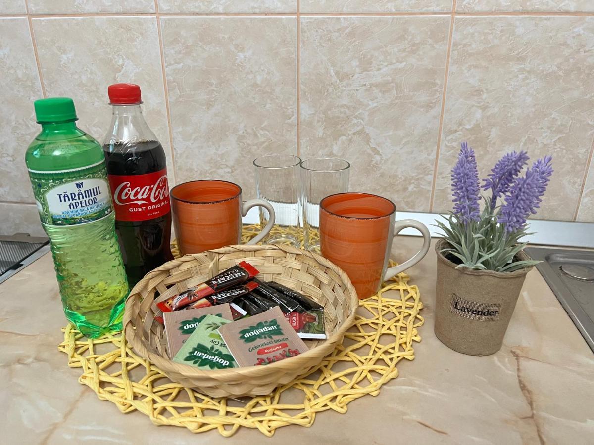 Miha Modern And Central Apartament Malul Muresului Arad Dış mekan fotoğraf