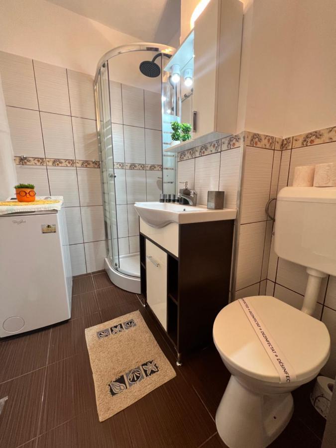 Miha Modern And Central Apartament Malul Muresului Arad Dış mekan fotoğraf
