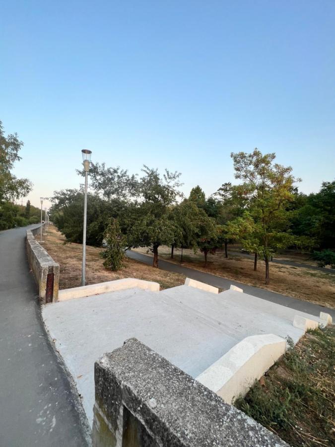 Miha Modern And Central Apartament Malul Muresului Arad Dış mekan fotoğraf