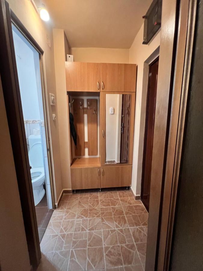 Miha Modern And Central Apartament Malul Muresului Arad Dış mekan fotoğraf